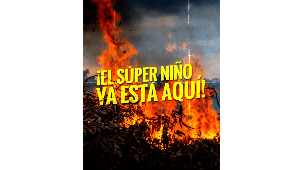 Imagen de portada del artículo ¡El súper niño, ya está aquí! que muestra un incendio forestal y de pastizales con llamas intensas y el título en texto amarillo